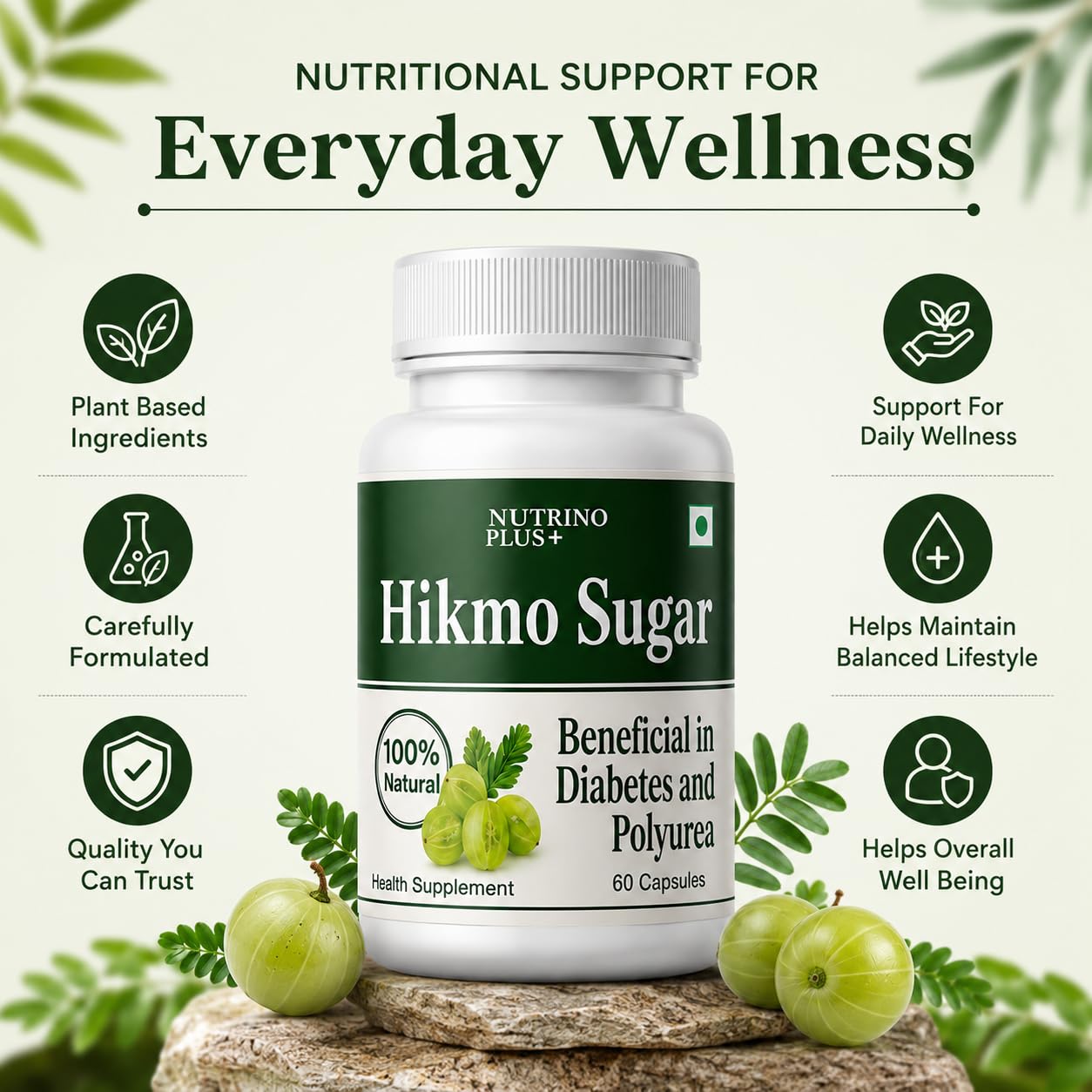 Hikmo Sugar Capsules | Amla-Based Blood Sugar & Metabolism Support (100% Natural)
